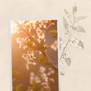 Music for Cafes and Classics - Happy Jazz Quintet - Acoustic Cafe Music