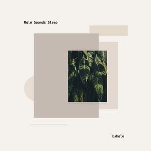 Exhale - Rain Sounds Sleep