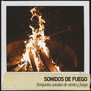 Sonidos de Fuego: Relajantes sonidos de viento y fuego - Nature's Noise