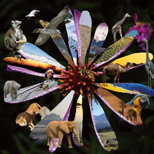 Docutrax, Vol. 1: Natural World - Moritz Bintig