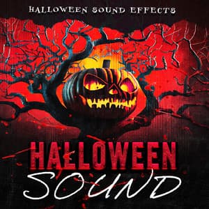 Halloween Sound - Halloween Sound Effects