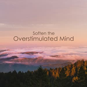 Soften the Overstimulated Mind - Mind State Zen Dimension