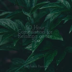 50 Hour Compilation for Relaxing at the Spa - Reiki Tribe