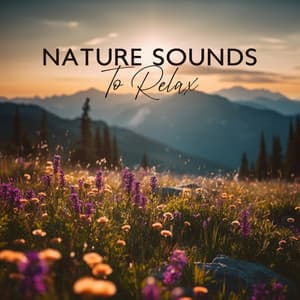 Nature Sounds To Relax: Beautiful Music From Mother Nature - Magic Leaf Creator