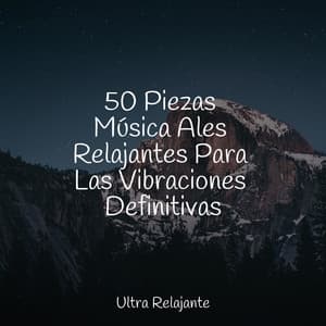 50 Piezas Música Ales Relajantes Para Las Vibraciones Definitivas - Mantra para Meditar