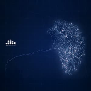 Sensorimotor Flow - Brain Waves Therapy