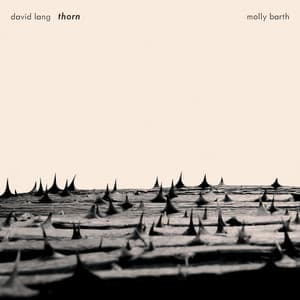 David Lang: Thorn - David Lang