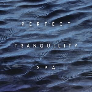 Perfect Tranquility Spa: Senses Come Alive, Experience Equilibrium, Music with Sacred Waters to Float in Peace - Zen Spa Zen Relaxation Zen Massage
