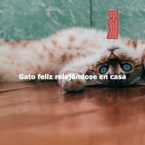Gato feliz relajándose en casa - Jazz Lounge MIlano