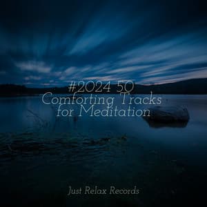 #2024 50 Comforting Tracks for Meditation - Happy Baby Lullaby Collection