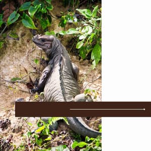 Ambiance for Rejuvenating Seasons - Toronto Coffee Shop Jazz