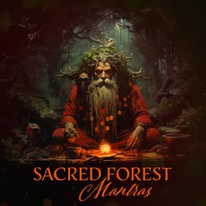Sacred Forest Mantras: Shamanic Throat Singing, Spiritual Balancing - Shamanic Meditation Tribe