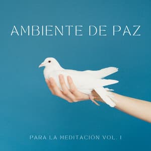 Ambiente De Paz Para La Meditación Vol. 1 - Musica Para Dormir