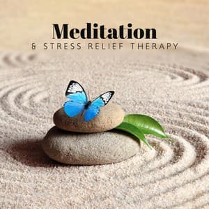 Meditation & Stress Relief Therapy - Reiki Healing Zone