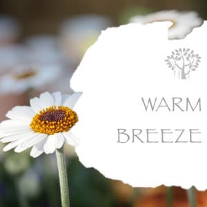 Warm Breeze - Natural Spirit