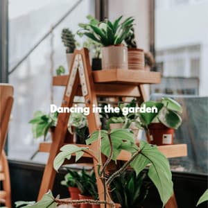 Dancing in the garden - Dinner Background Music