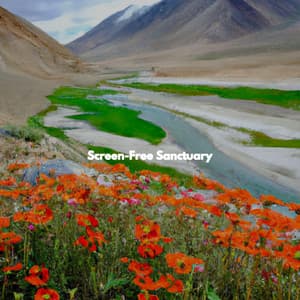 Screen-Free Sanctuary - Sunday Evening Music