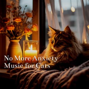 No More Anxiety Music for Cats - Cat & Calm