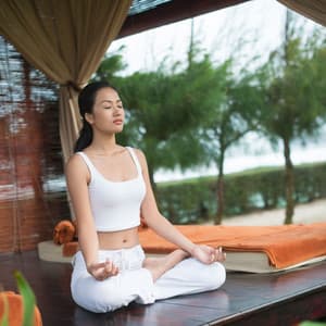 Feathers in the Wind: Owl's Meditation Journey ASMR - Brown Owl Plays