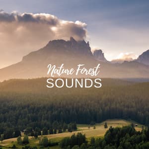 Nature Forest Sounds - Natural Sample Makers