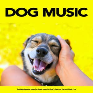 Dog Music: Soothing Sleeping Music For Dogs, Music For Dog's Ears and The Best Music Pets - Dog Music