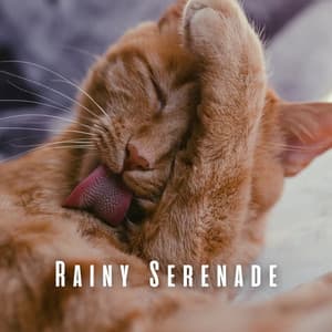 Rainy Serenade: Ambient Crystal Singing Bowl for Relaxed Cats - Rain Games