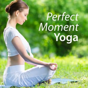 Perfect Moment Yoga - Zen Meditate