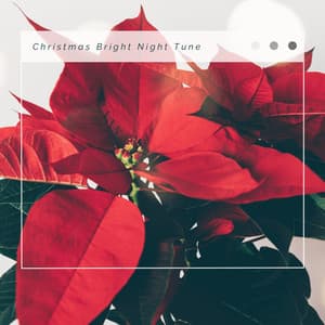 2023 Christmas Bright Night Tune - Sounds of Christmas