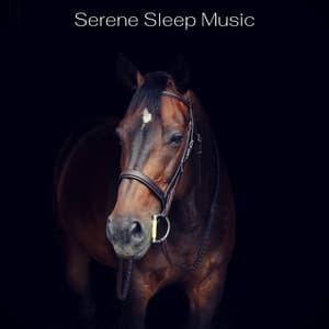 Serene Sleep Music - Sleeping Music