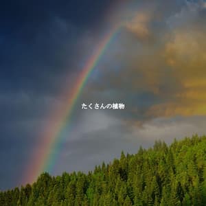 たくさんの植物 - Fun Jazz