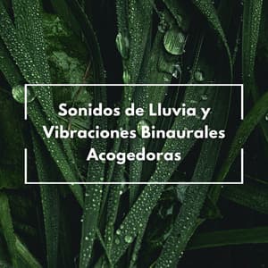 Sonidos De Lluvia Y Vibraciones Binaurales Acogedoras - Sistemas Binaurales