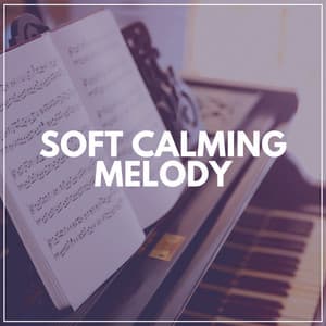 Soft Calming Melody - Dai Lan