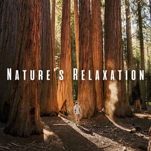 Nature's Relaxation: Binaural Sounds for Healing - Naturevibe