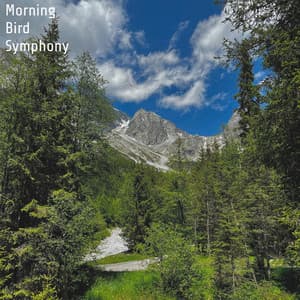 Morning Bird Symphony - Aqua Sound