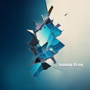 Fragments in Asymmetry - Tommy Grey