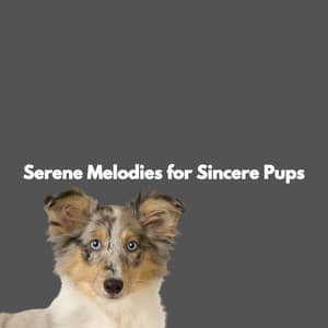 Serene Melodies for Sincere Pups - Relaxing Study Music Vibes