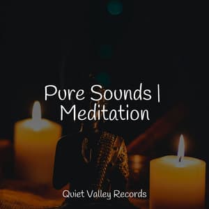 Pure Sounds | Meditation - Pro Sounds of Nature