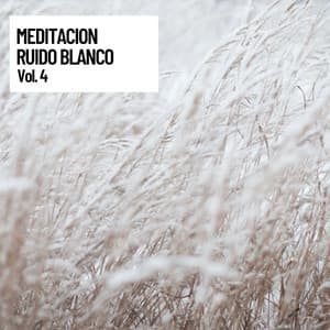 Meditacion Ruido Blanco vol. 4 - Ruido Branco