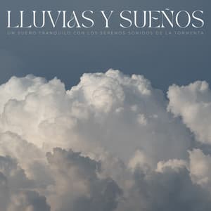 Lluvias Y Sueños: Un Sueño Tranquilo Con Los Serenos Sonidos De La Tormenta - Lluvia en el Bosque