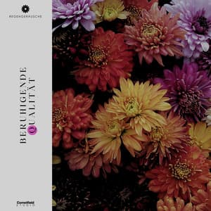 Beruhigende Qualität - Regengeräusche