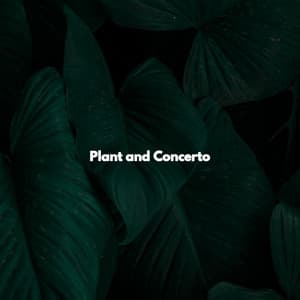 Plant and Concerto - Cafe Jazz Trio Japan