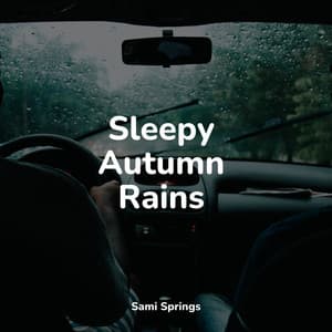 Sleepy Autumn Rains - Nature Sounds Collection