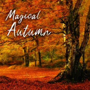 Magical Autumn: Relaxing Celtic Forest Ambiance 2022 - Magic Music Ensemble