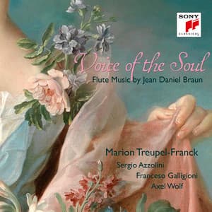 Voice of the Soul - Flute Music by Jean Daniel Braun - Jean Daniel Braun