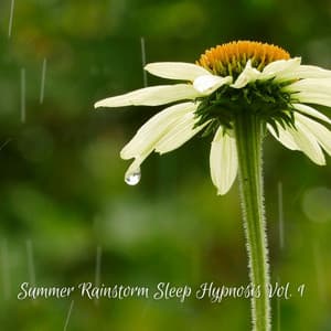 Summer Rainstorm Sleep Hypnosis Vol. 1 - Sleepy Pets