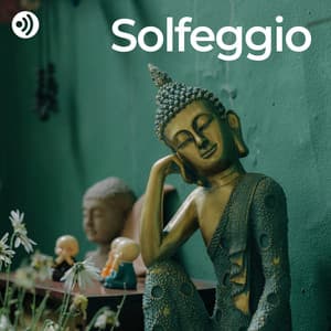 Solfeggio & Buddha Frequencies: Harmonic Ascension - Exclusive Nature