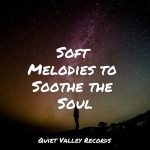 Soft Melodies to Soothe the Soul - Ambient Nature White Noise