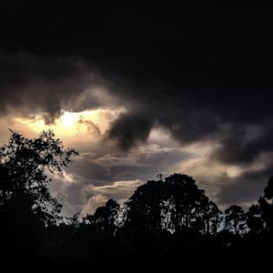 Once-Promised Exits - Byelti