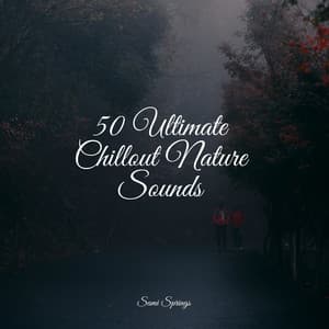 50 Ultimate Chillout Nature Sounds - Kinderlieder-Superstar