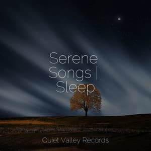 Serene Songs | Sleep - Thunder Storm